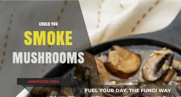 Exploring the World of Smoking Mushrooms