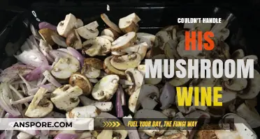 Mushroom Wine Overload: How One Man’s Brew Became His Downfall