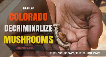 Colorado's Mushroom Decriminalization: What's Legal and Where in 2023?