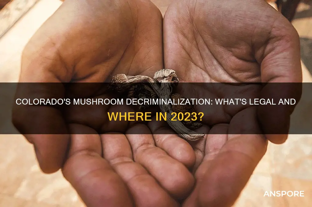 did all of colorado decriminalize mushrooms