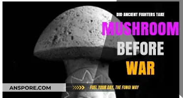 Ancient Warriors and Mushrooms: Unveiling Pre-Battle Psychedelic Secrets