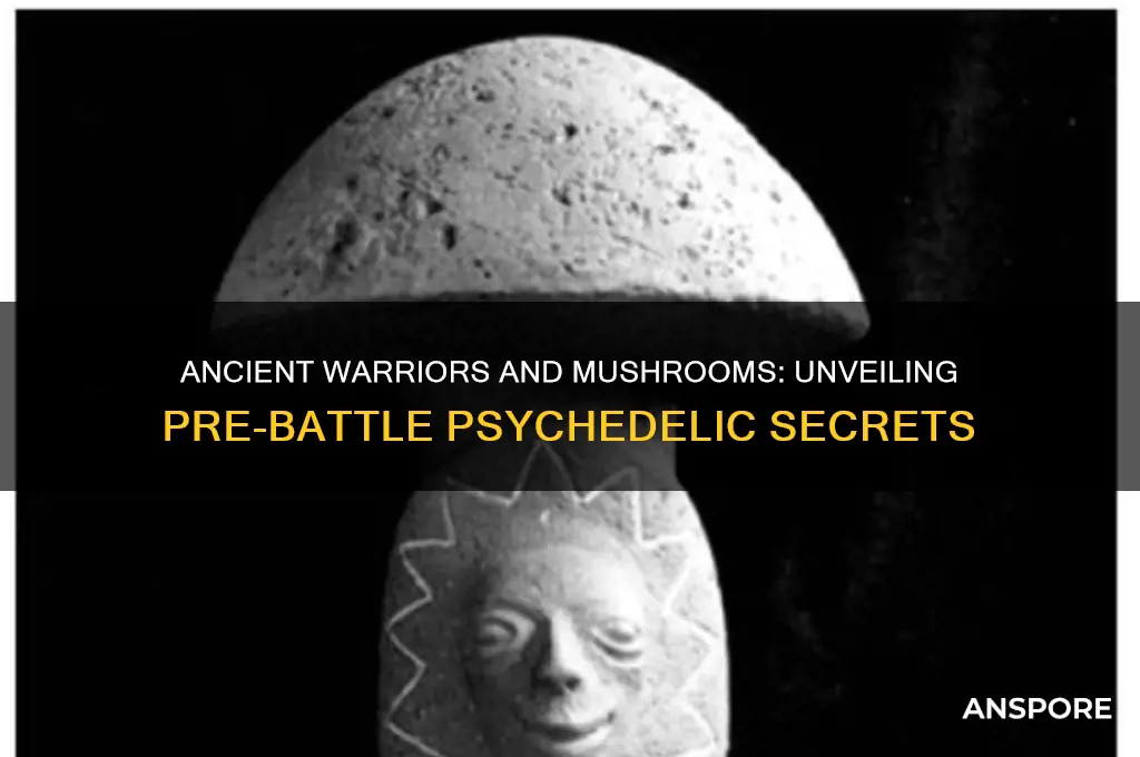 did ancient fighters take mushrooms before war