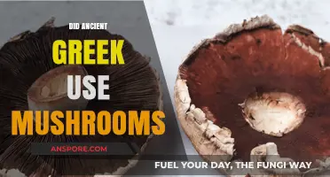 Exploring Ancient Greek Mushroom Use: Rituals, Remedies, and Mysteries