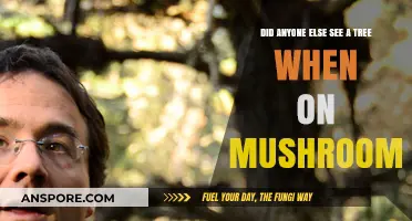 Mushroom Visions: Did You See a Tree Too? Sharing Psychedelic Experiences