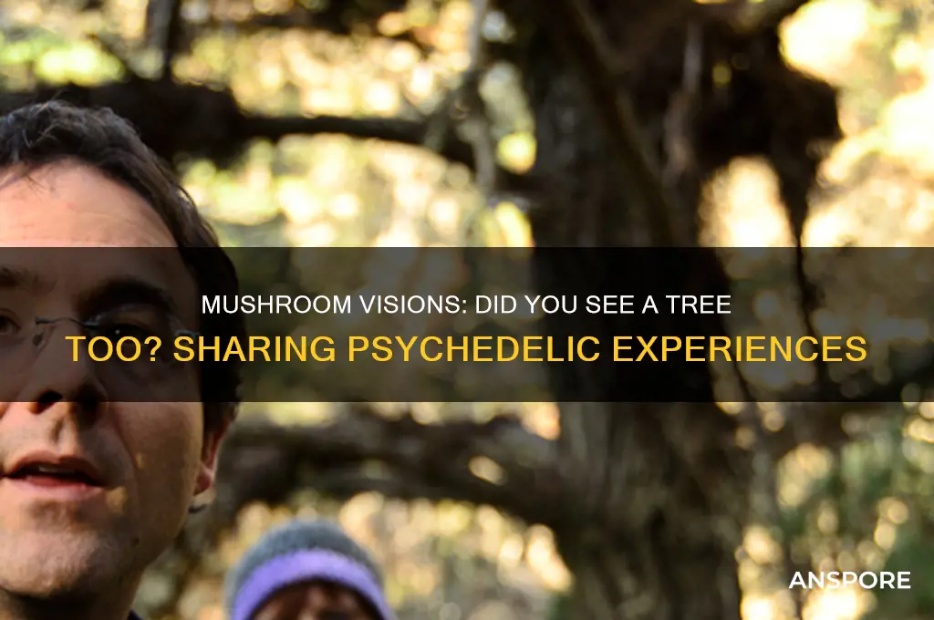 did anyone else see a tree when on mushrooms