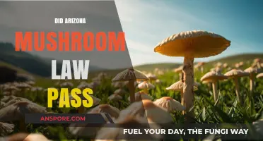 Arizona's New Mushroom Law: What You Need to Know