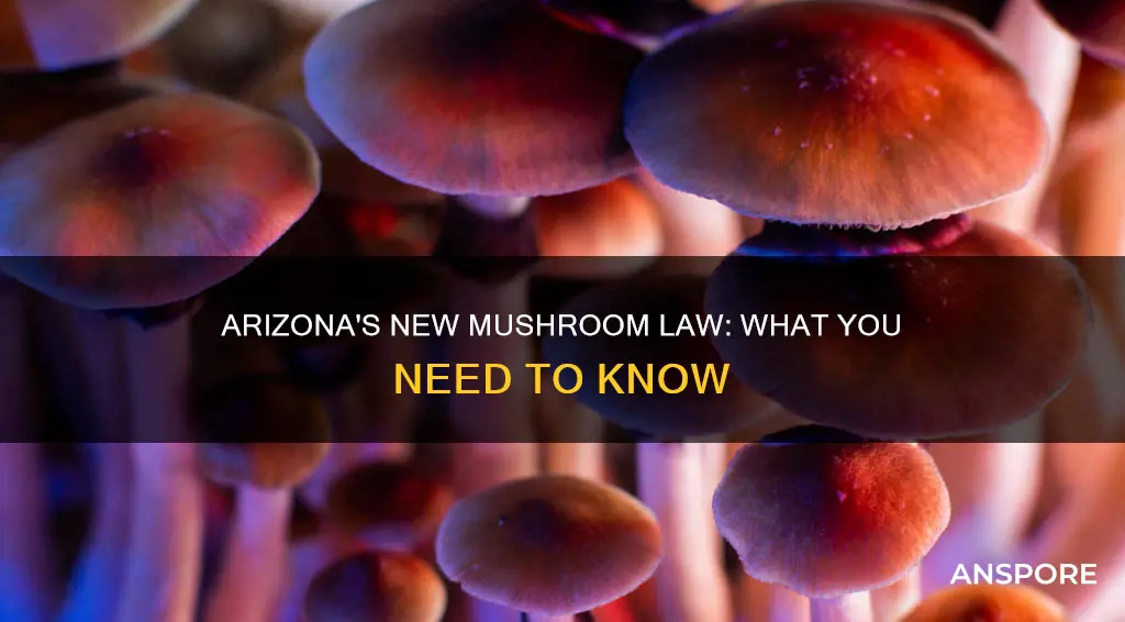 did arizona mushroom law pass