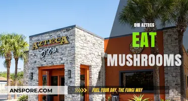 Aztec Cuisine Secrets: Did Mushrooms Play a Role in Their Diet?