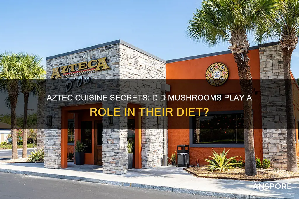 did aztecs eat mushrooms