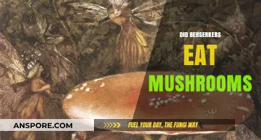 Berserkers and Mushrooms: Unraveling the Myth of Viking Fury