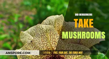 Berserkers and Mushrooms: A Deadly Mix?