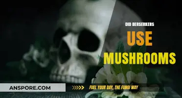 Berserkers and Mushrooms: Unraveling the Myth of Viking Fury