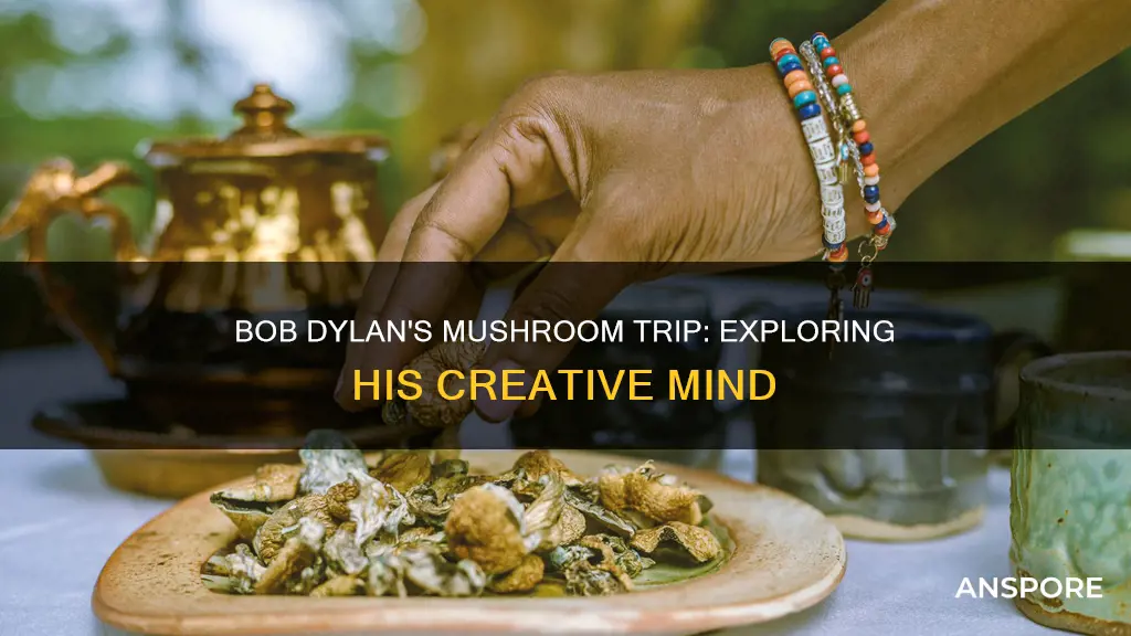 did bob dylan take mushrooms