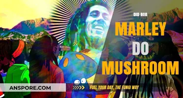 Bob Marley's Psychedelic Journey: Exploring Mushroom Use