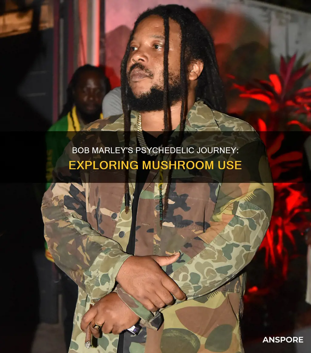 did bob marley do mushrooms