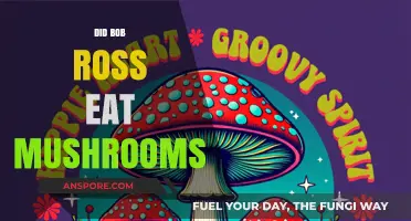 Bob Ross and the Mushroom Mystery: Fact or Fiction?