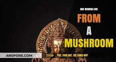 Did Buddha's Death Result from Consuming a Poisonous Mushroom?