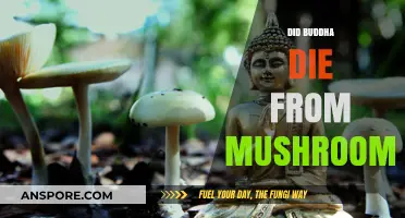Did Mushrooms Kill Buddha?