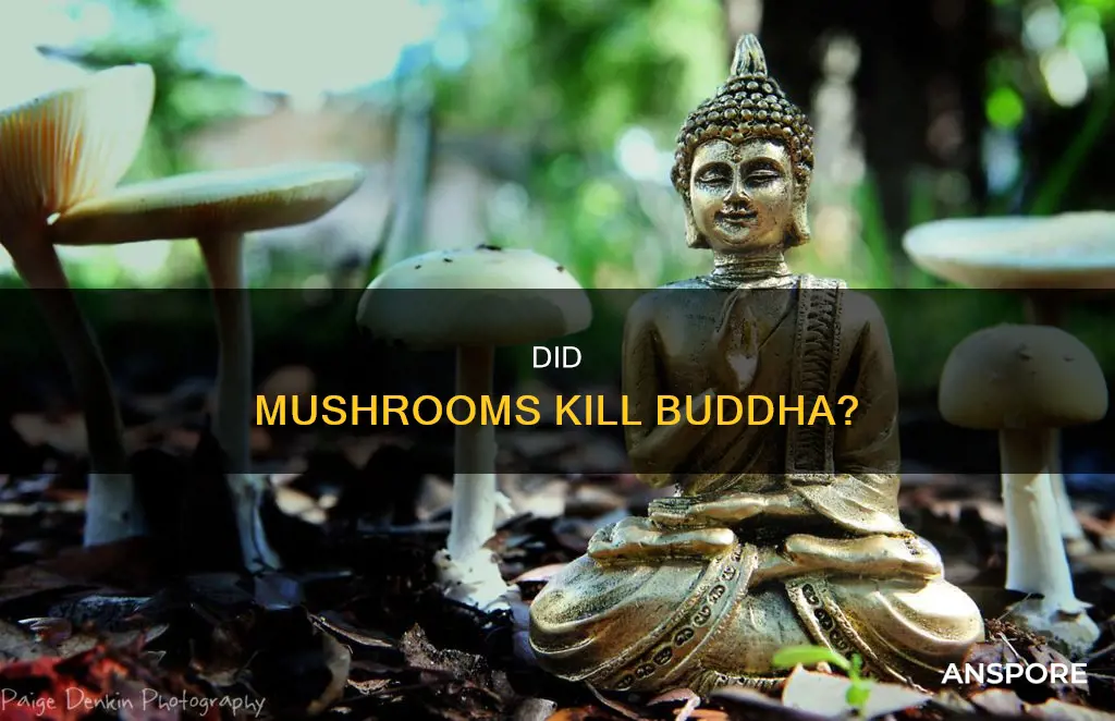 did buddha die from mushrooms