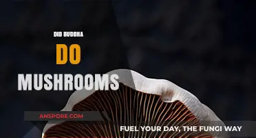 Mushrooms and the Buddha: A Spiritual Connection?