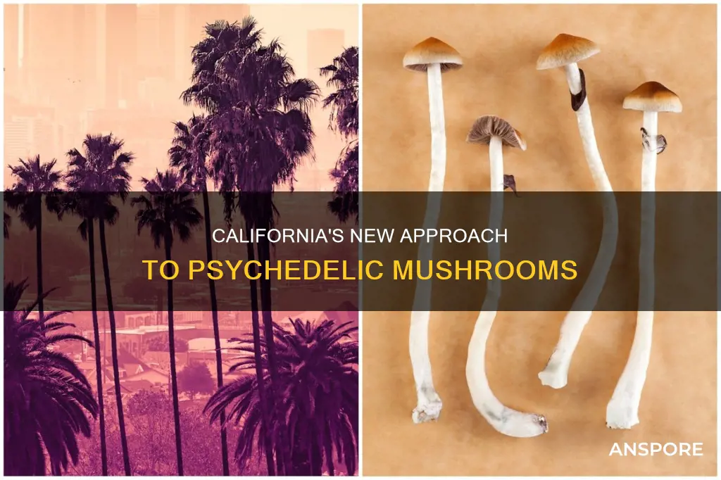 did california decriminalize mushrooms
