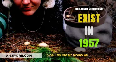 Exploring 1957: Were Canned Mushrooms a Pantry Staple?
