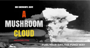 Chernobyl's Explosion: Unveiling the Truth About the Mushroom Cloud Myth