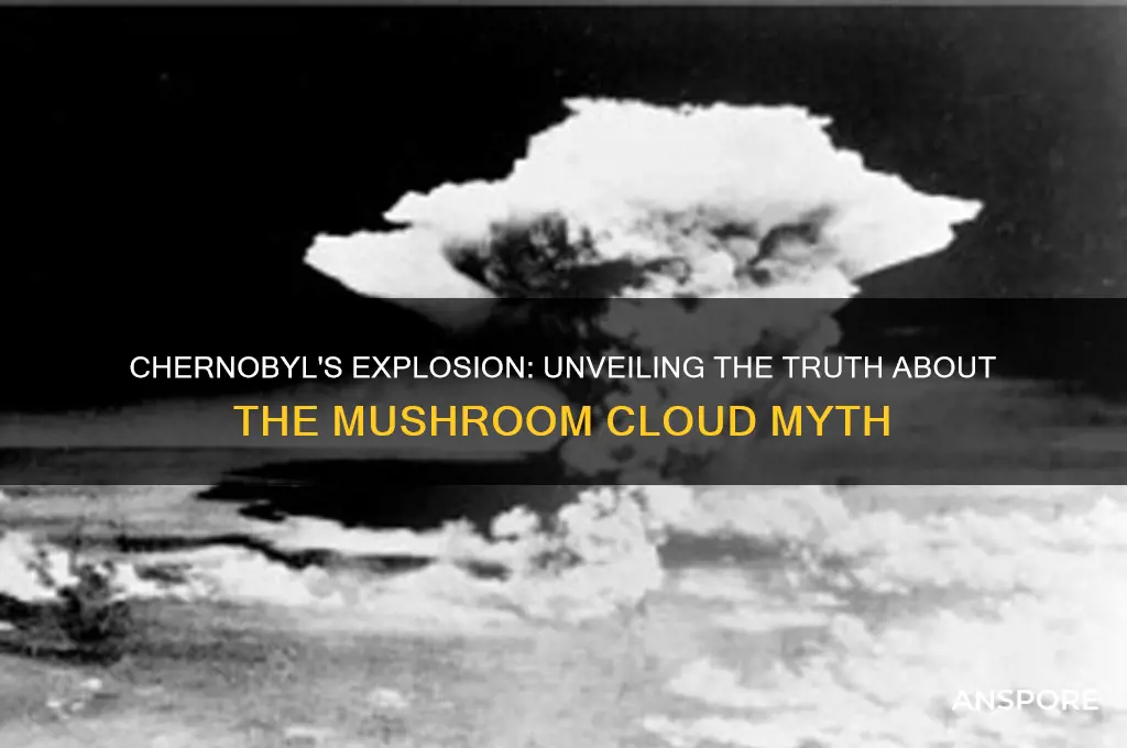 did chernobyl have a mushroom cloud