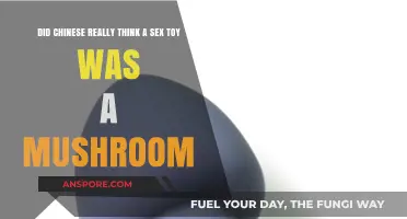 Chinese Mistake Sex Toy for Mushroom: Fact or Fiction?