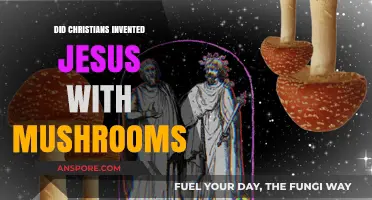 Did Christians Invent Jesus with Mushrooms? Unraveling the Myth