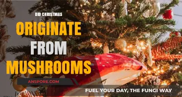 Christmas and Mushrooms: An Ancient Connection?