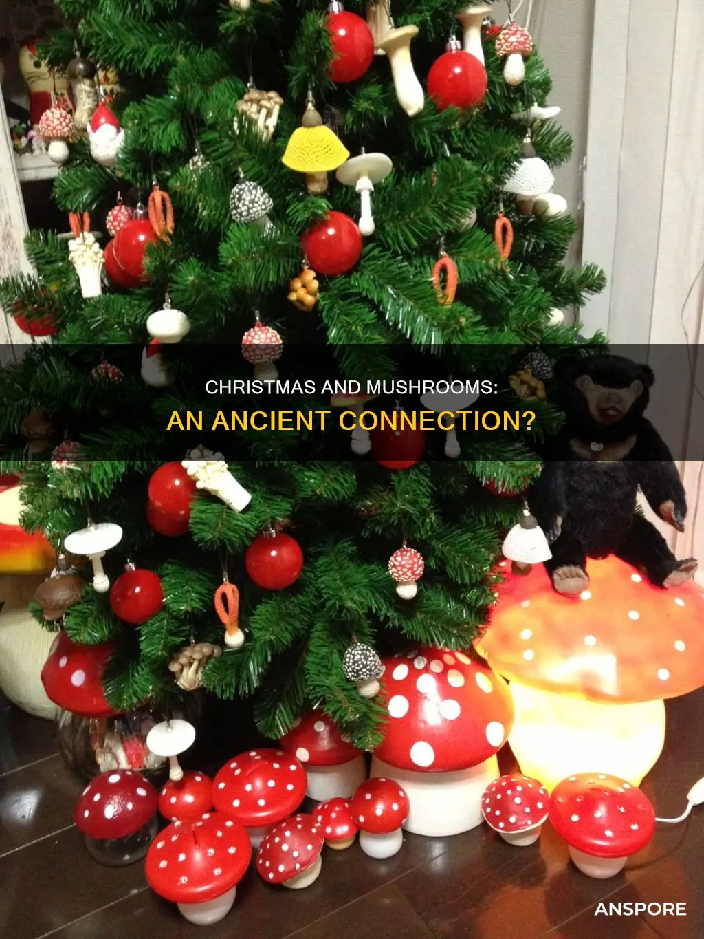 did christmas originate from mushrooms