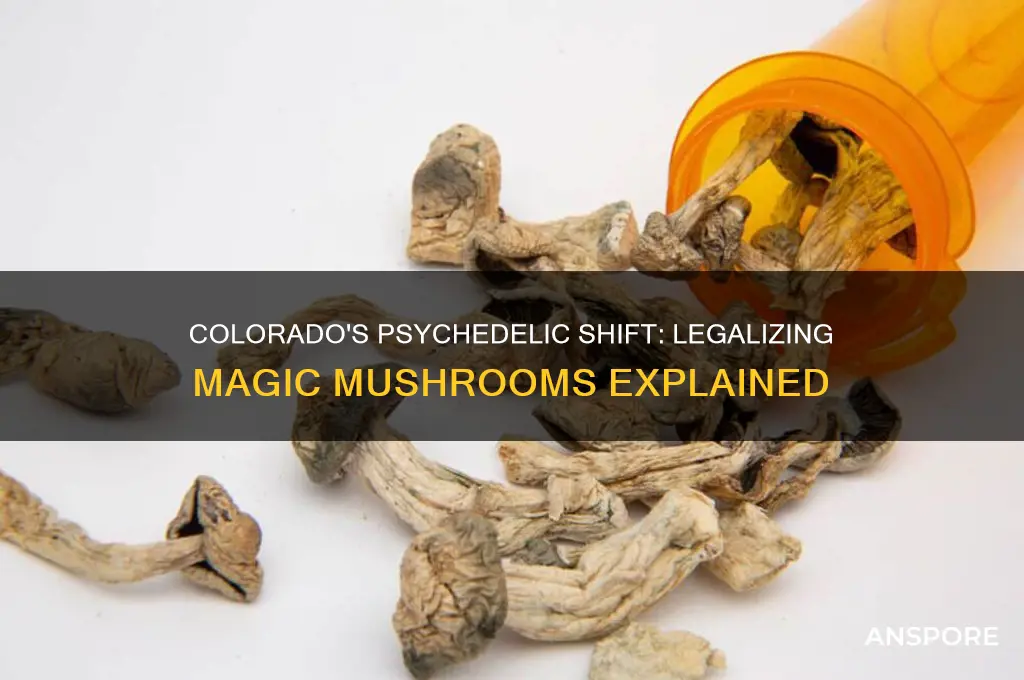 did co legalize mushrooms