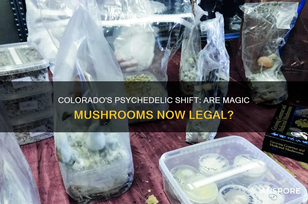 did colorado just legalize mushrooms