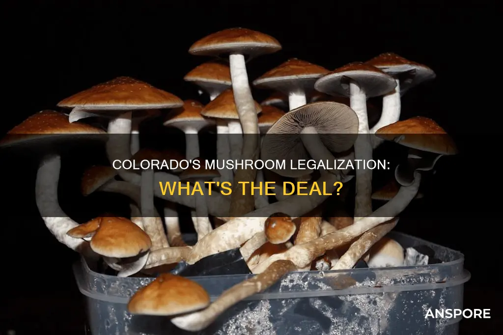 did colorado pass mushrooms