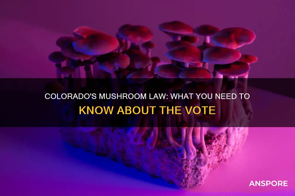 did colorado pass the mushroom law