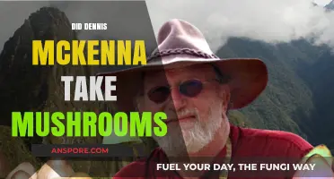 Mushroom Trips: Dennis McKenna's Experience