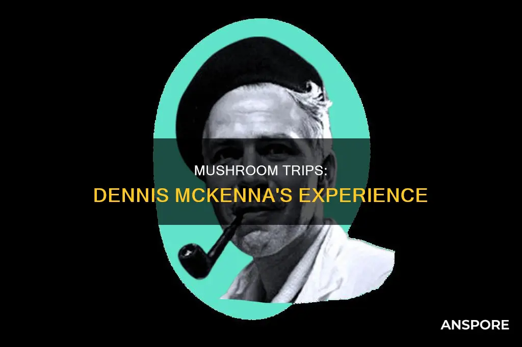 did dennis mckenna take mushrooms