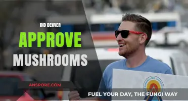 Denver Votes Yes to Magic Mushrooms