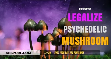 Denver's Psychedelic Shift: Legalizing Magic Mushrooms and What It Means