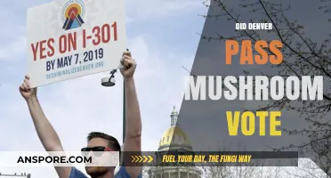 Denver Votes for Legal Psilocybin