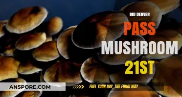 Denver's Historic Vote to Decriminalize Magic Mushrooms