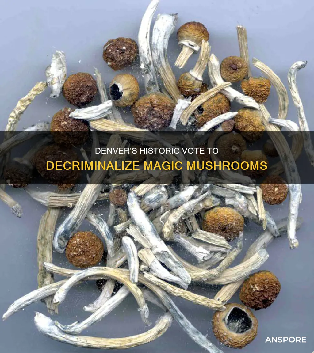 did denver pass mushrooms 21st