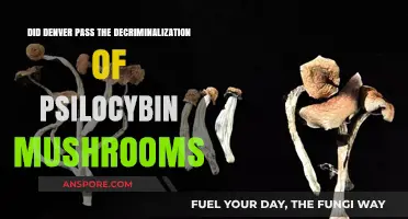 Denver's Psilocybin Decriminalization: What Happened and What's Next?