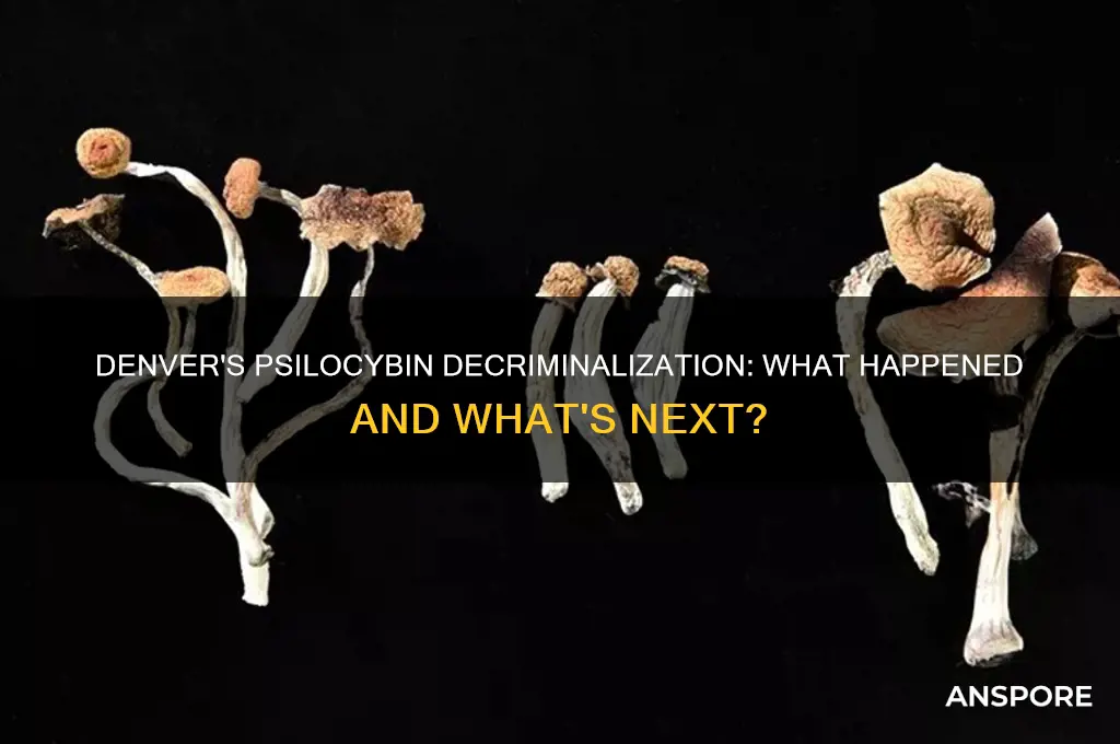 did denver pass the decriminalization of psilocybin mushrooms