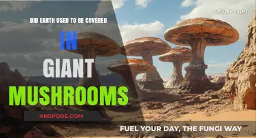 Giant Mushrooms: Earth's Ancient Forest or Mythical Past?