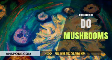 Einstein's Mushroom Trip: Exploring the Mind of a Genius