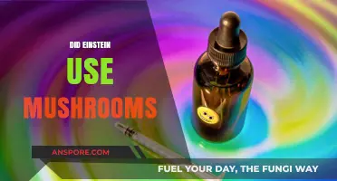 Einstein and Mushrooms: Unraveling the Psychedelic Genius Myth