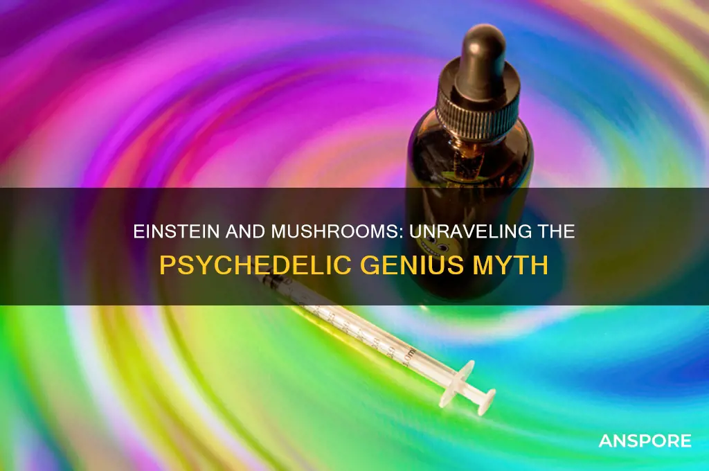 did einstein use mushrooms