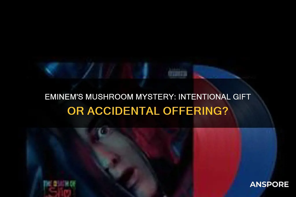 did eminem mean to give her mushrooms
